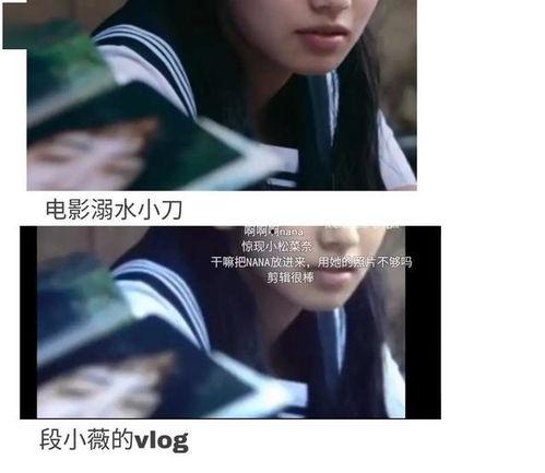 吃瓜娱乐圈爽文小说,瓜田里的甜蜜复仇